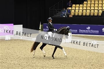 182194_kbb_03_Z091064.JPG
