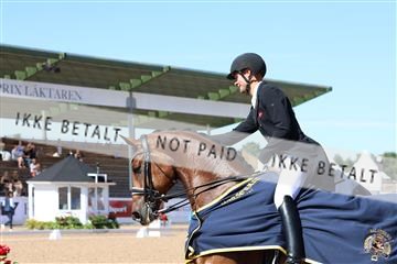 181726_mlm_01_R62_9513.JPG