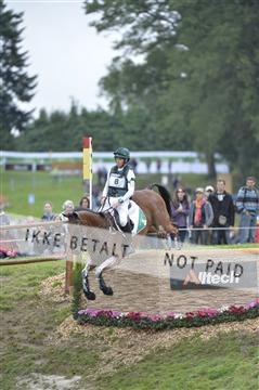 144462_bc_22__BC16117.JPG