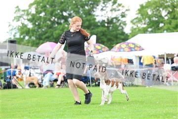 181564_rin_01_R62_8015.JPG