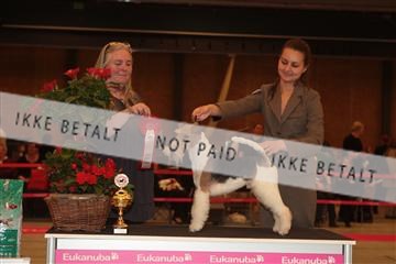 124188 _tl_02_IMG_9526.JPG