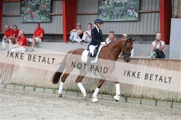 181867_mtp_01_R62_4095.JPG