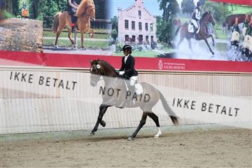 181887_mtp_02_R62_7602.JPG