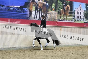 182241_kbb_01_Z095277.JPG