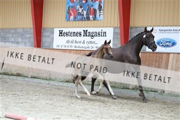 181868_mtp_03_R62_6217.JPG