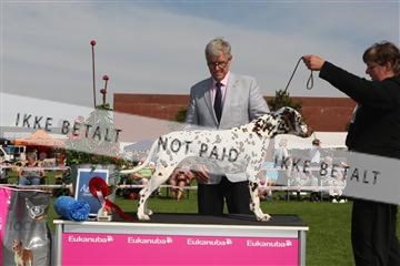 130370_se_02_IMG_6459.JPG