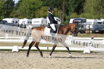 181894_mtp_05_R62_4625.JPG