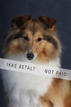 132082_le_ 01_IMG_0791.JPG