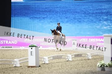 182194_avh_07_3789.JPG
