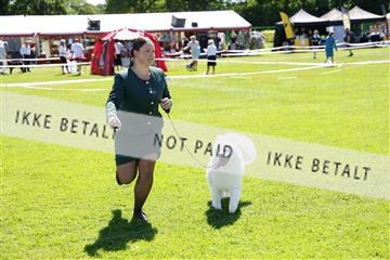181564_kar_01__62_8512.JPG