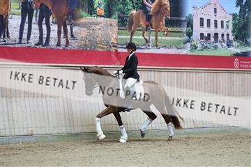 181887_mtp_04_R62_8300.JPG