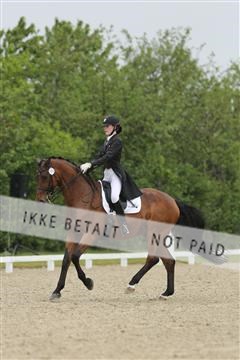 139835_sg_01_IMG_8354.JPG