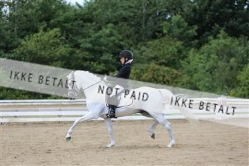 156196_nn_01_IMG_6098.JPG