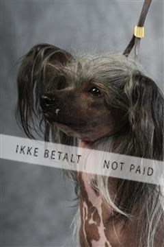 129608_le_ 01_0787.JPG