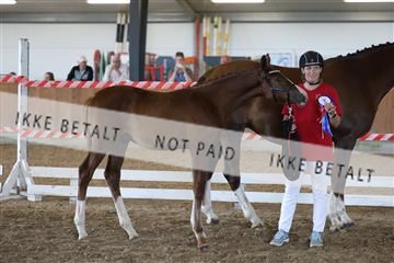 181756_mtp_03_R62_3091.JPG