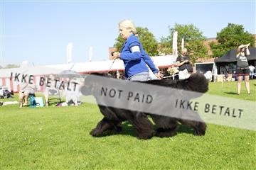 181564_kar_01__62_8251.JPG