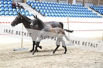 181754_kbb_01_Z092759.JPG