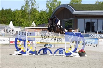 181436_avh_02_3714.JPG