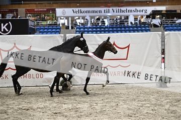 181957_kbb_01_Z098219.JPG