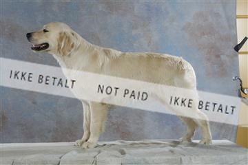 5493_sme _03__MG_9842.JPG