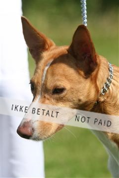 130370_se_03_IMG_6884.JPG