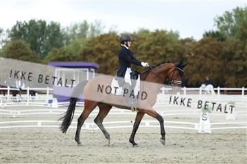 181923_mtp_04_R62_9142.JPG