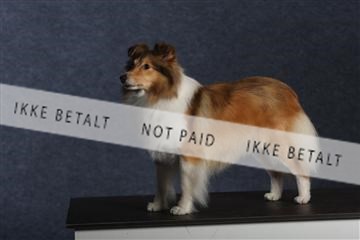 132082_le_ 01_IMG_0784.JPG