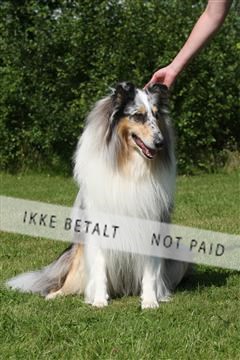 130370_se_03_IMG_7547.JPG