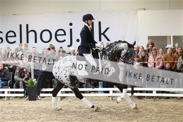 174363_kbb_01_R6II7901.JPG