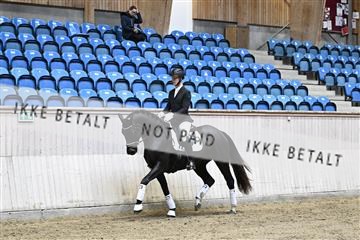 182241_kbb_01_Z094091.JPG