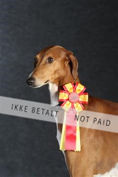 132082_le_ 01_IMG_0073.JPG