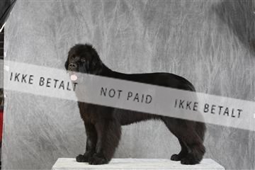 130054_le_ 03_0396.JPG