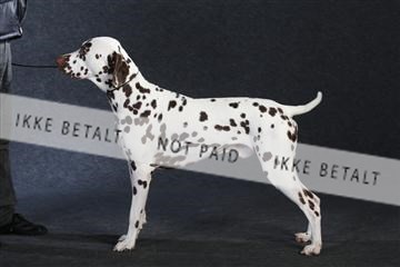 132082_le_ 01_IMG_1061.JPG