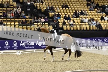 182194_kbb_03_Z090247.JPG