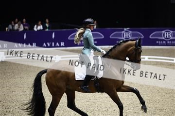 182194_avh_05_2230.JPG