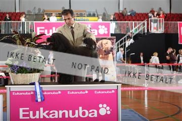 6068_ma_05_IMG_5834.JPG