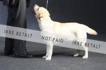 132082_le_ 01_IMG_1437.JPG