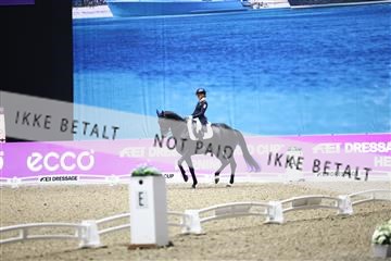 182194_avh_07_3945.JPG