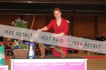 124188 _tl_02_IMG_9524.JPG