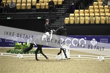 182194_kbb_01_Z096127.JPG