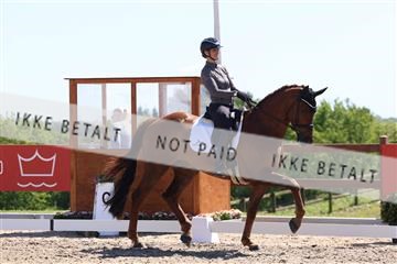181449_bc_01R62_5664.JPG