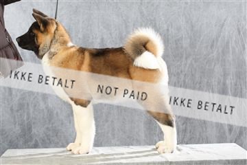 128239_le_ 06_0033.JPG