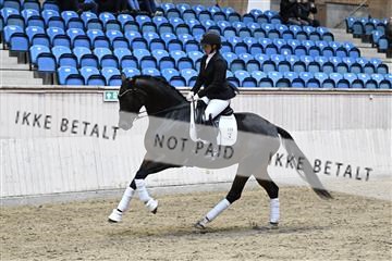 182241_kbb_01_Z093404.JPG