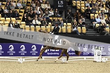 182194_kbb_03_Z090690.JPG