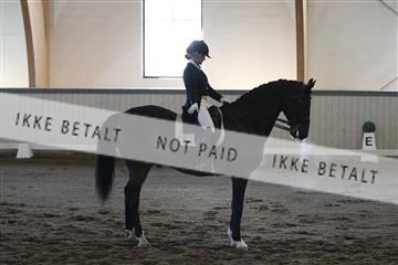 139267_kl_1_8M1Q6835.JPG