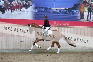181887_mtp_02_R62_7490.JPG