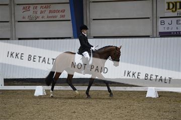 140040_abo_02__AB18895.JPG