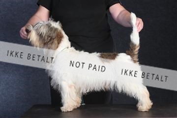 132082_le_ 01_IMG_0051.JPG