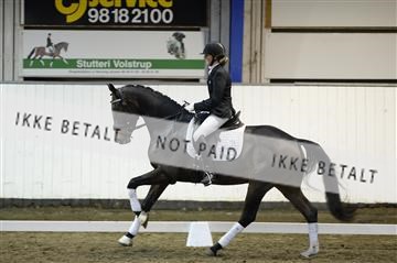 141472_abo_01__AB15923.JPG