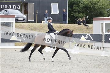 166078_rhj_01__J7R2984.JPG